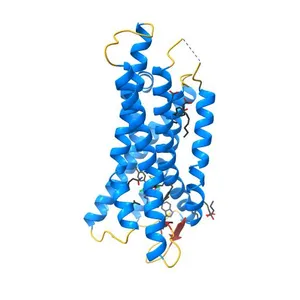 The crystal structure of nociceptin/orphanin FQ peptide receptor (NOP) in complex with C-35 (PSI Community Target)