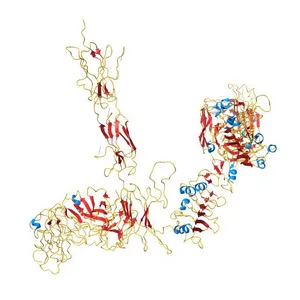 FAB 83-7 HEAVY CHAIN, FAB 83-7 LIGHT CHAIN, FAB 83-14 HEAVY CHAIN, FAB 83-14 LIGHT CHAIN, Insulin receptor (E.C.2.7.10.1)