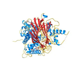 Crystal structure of Processing alpha-Glucosidase I