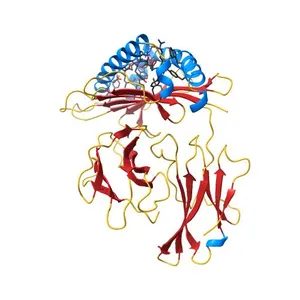 MHC CLASS I H-2KB HEAVY CHAIN COMPLEXED WITH BETA-2 MICROGLOBULIN AND VESICULAR STOMATITIS VIRUS NUCLEOPROTEIN