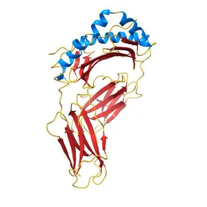 HLA-DR1 (DRA, DRB1 0101) HUMAN CLASS II HISTOCOMPATIBILITY PROTEIN (EXTRACELLULAR DOMAIN) COMPLEXED WITH ENDOGENOUS PEPTIDE