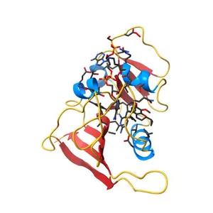 Staphylococcus aureus F98Y DHFR complexed with iclaprim
