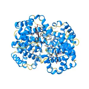 THE CRYSTAL STRUCTURE OF HUMAN DEOXYHAEMOGLOBIN AT 1.74 ANGSTROMS RESOLUTION