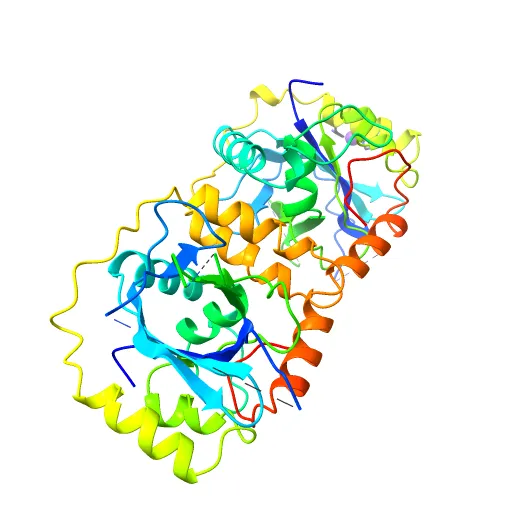 KSHV PROTEASE — Фото 3 из 12