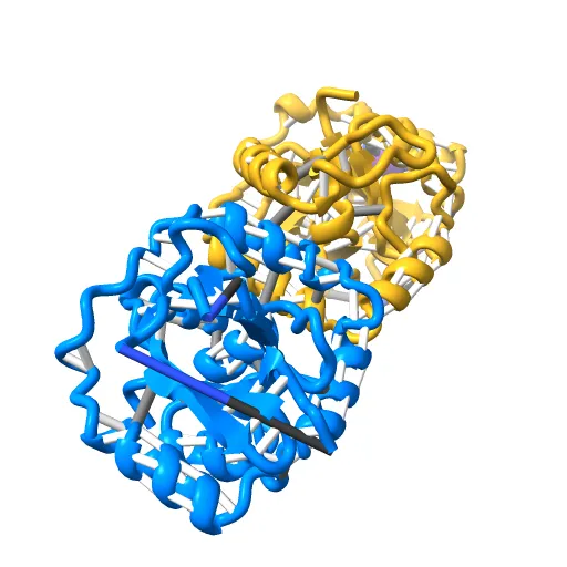 KSHV PROTEASE — Фото 4 из 12