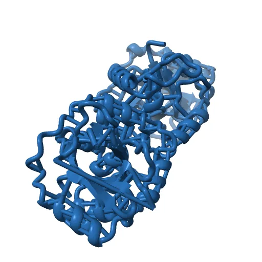 KSHV PROTEASE — Фото 5 из 12