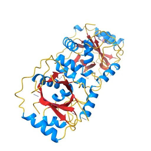 KSHV PROTEASE — Фото 6 из 12