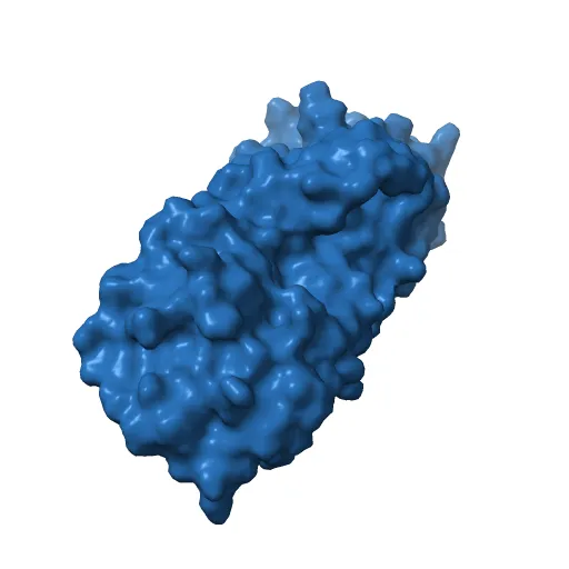 KSHV PROTEASE — Фото 7 из 12