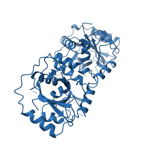 KSHV PROTEASE — Фото 8 из 12