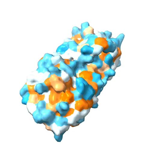 KSHV PROTEASE — Фото 9 из 12