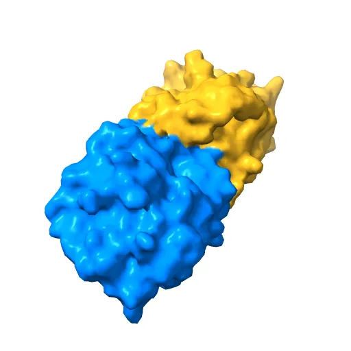 KSHV PROTEASE — Фото 10 из 12