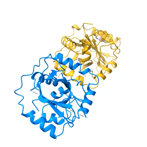 KSHV PROTEASE — Фото 11 из 12