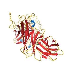 Structure of MR1-reactive MAV36 TCR