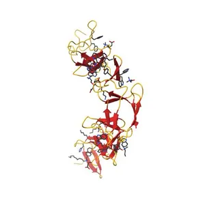 Choline binding domain of the major autolysin (C-LytA) from Streptococcus pneumoniae
