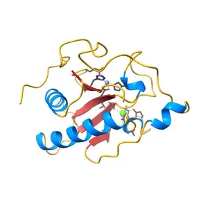 Crystal Structure of ShhN