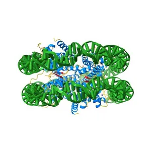 Crystal structure of human nucleosome core particle