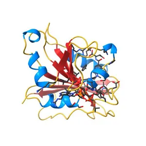 Understanding the Role of Leu22 Variants in Methotrexate Resistance: Comparison of Wild-type and Leu22Arg Variant Mouse and Human Dihydrfolate Reductase Ternary Crystal Complexes with Methotrexate and NADPH