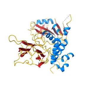 Structure of a HIF-1a-pVHL-ElonginB-ElonginC Complex