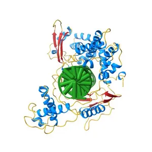 CRYSTAL STRUCTURE OF HUMAN TOPOISOMERASE I DNA COMPLEX