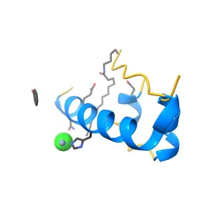 STRUCTURE OF INSULIN