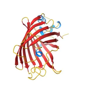 Structure of the Yellow Fluorescent Protein Citrine Frozen at 5000 Atmospheres: Structure 26 in a Series of 26 High Pressure Structures