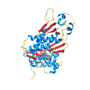 Structure of ebolavirus protein VP24 from Reston
