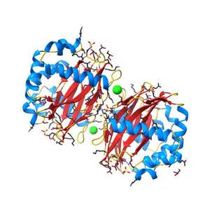 Crystal structure of a DUF3887 family protein (RUMGNA_01855) from Ruminococcus gnavus ATCC 29149 at 2.25 A resolution