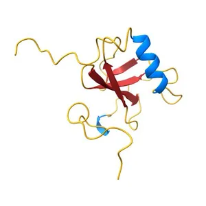 Solution structure of the N-terminal DCX domain of human doublecortin-like kinase