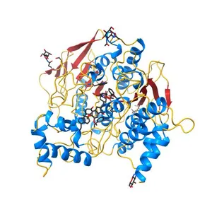 THREE DIMENSIONAL STRUCTURE OF THE ANTI-ALZHEIMER DRUG, E2020 (ARICEPT), COMPLEXED WITH ITS TARGET ACETYLCHOLINESTERASE