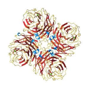 N1 neuraminidase