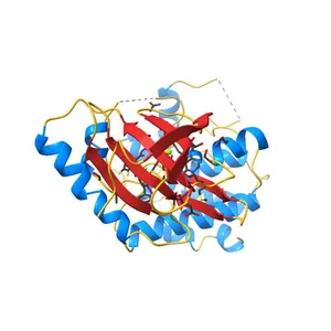 X-ray structure of the human mitogen-activated protein kinase kinase 1 (MEK1) in a complex with ligand and MgATP