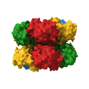 Crystal structure of Mycobacterium Tuberculosis Glutamine Synthetase in complex with a purine analogue inhibitor.