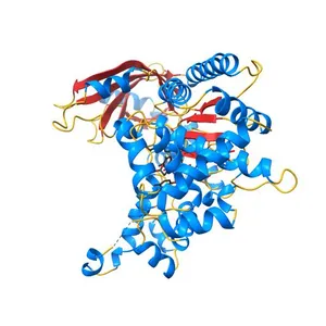 Anthrax toxin lethal factor with bound small molecule inhibitor MK-31