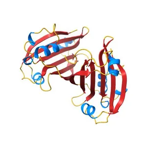 The crystal structure of the putative regulator from Escherichia coli CFT073