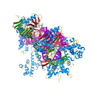 Crystal structure of Francisella novicida Cas9 RHA in complex with sgRNA and target DNA (TGG PAM)