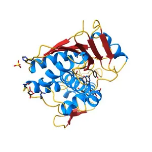 Structure of ricin A chain bound with N-(N-(pterin-7-yl)carbonylglycyl)glycine