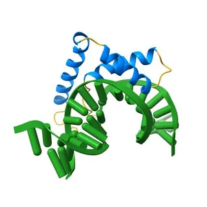 Structure of SOX18-HMG/PROX1-DNA