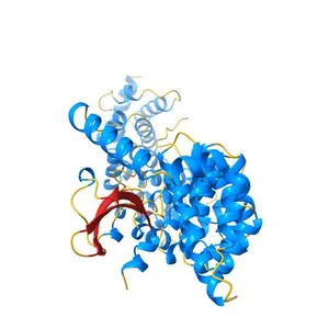 C-terminal domain of influenza A virus polymerase PB2 subunit in complex with human importin alpha5