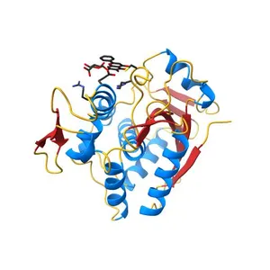 Crystal Structure of Ricin A chain complexed with Baicalin inhibitor