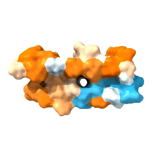 3D Structure of Alzheimer's Abeta(1-42) fibrils — Фото 6 из 13
