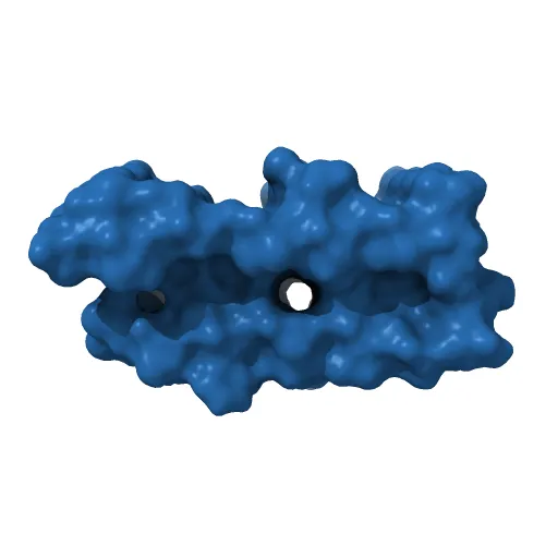 3D Structure of Alzheimer's Abeta(1-42) fibrils — Фото 9 из 13