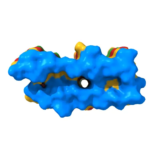 3D Structure of Alzheimer's Abeta(1-42) fibrils — Фото 11 из 13