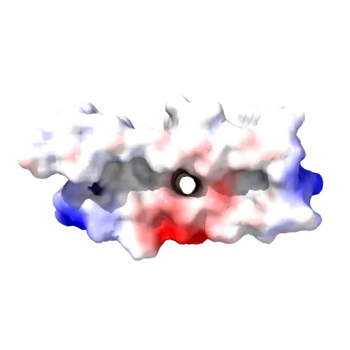 3D Structure of Alzheimer's Abeta(1-42) fibrils — Фото 13 из 13