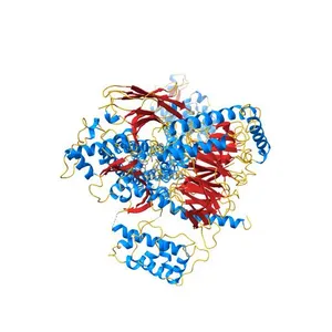 Crystal structure of the beta2 adrenergic receptor-Gs protein complex