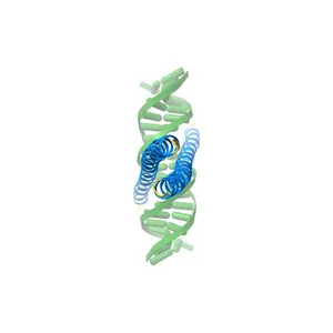 Crystal structure of the JUN BZIP homodimer complexed with AP-1 DNA