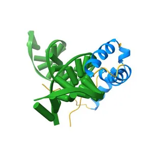 Crystal Structure of HMG domain of the chondrogenesis master regulator, Sox9 in complex with ChIP-Seq identified DNA element