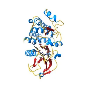 Human Abl kinase domain in complex with imatinib (STI571, Glivec)