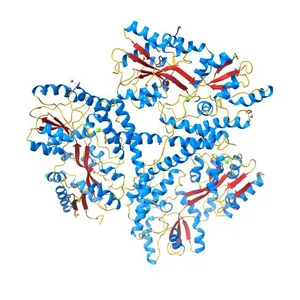 Huntingtin amino-terminal region with 17 Gln residues - crystal C92-b