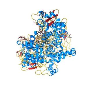 The Crystal Structure of Salicylate Bound to Human Cyclooxygenase-2