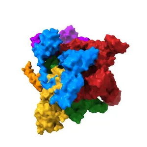 X-ray crystal structur of Escherichia coli RNA polymerase sigma70 holoenzyme